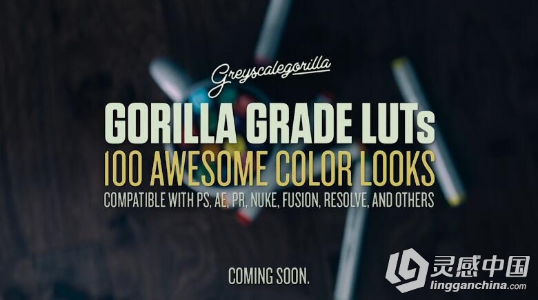 灰猩猩100种 LUTs 电影调色预设 GreyScaleGorilla – Grade LUTs  灵感中国网 www.lingganchina.com