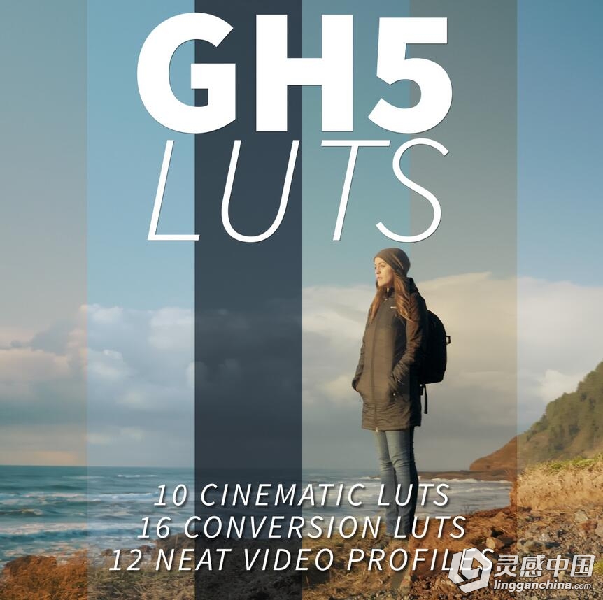 PS/AE/FCPX/达芬奇LUTs影视级调色预设Neumann Films Gh5 Luts  灵感中国网 www.lingganchina.com