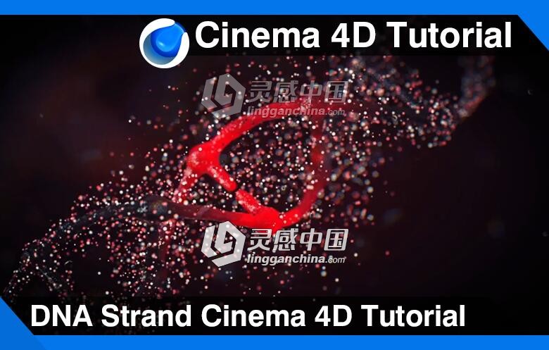 C4D制作DNA粒子效果视频教程 DNA Strand Cinema 4D Tutorial  灵感中国网 www.lingganchina.com