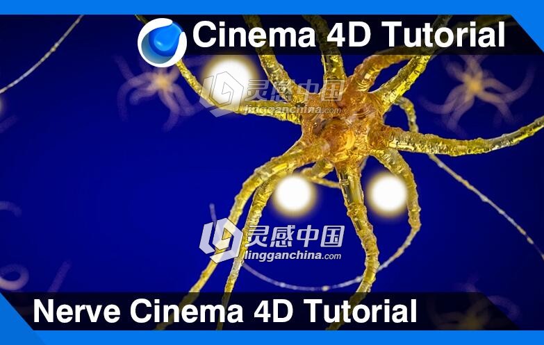 C4D神经系统建模材质渲染视频教程 Nerve Cinema 4D Tutorial  灵感中国网 www.lingganchina.com