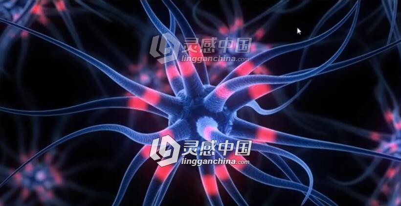 C4D大脑神经传输动画视频教程 Brain Cell Animation Cinema 4D Tutorial  灵感中国网 www.lingganchina.com