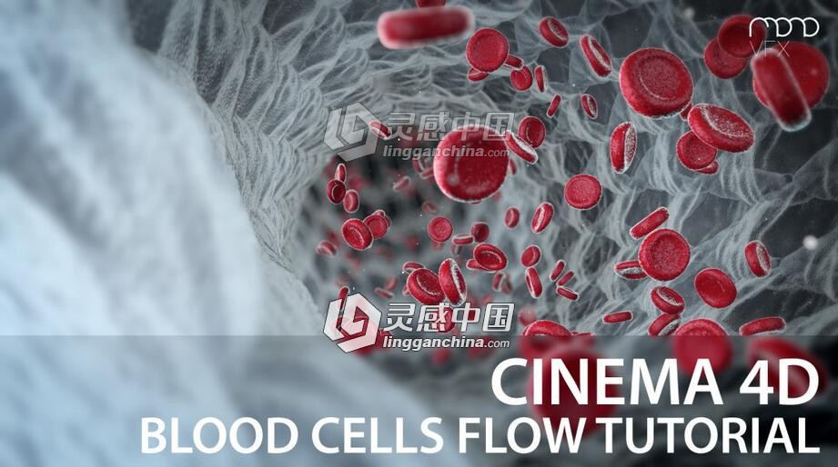 C4D血细胞流动特效动画视频教程 Blood cells flow Cinema 4D Tutorial  灵感中国网 www.lingganchina.com