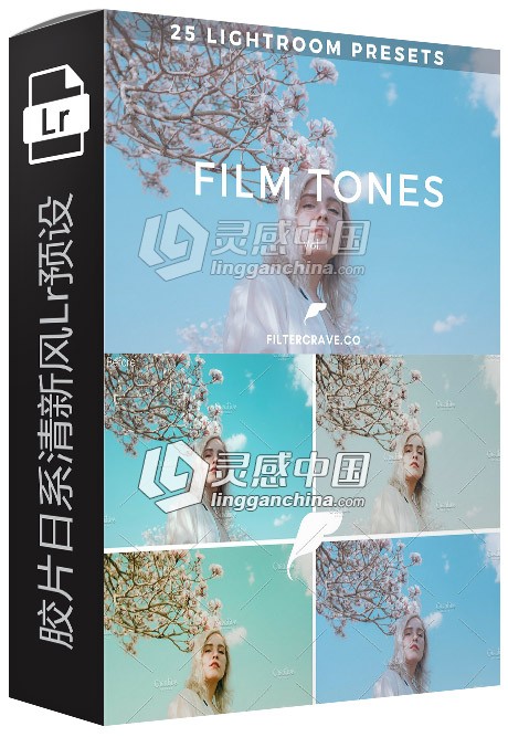 胶片日系清新风Lightroom预设 25 Film Tone I Lightroom Presets  灵感中国网 www.lingganchina.com