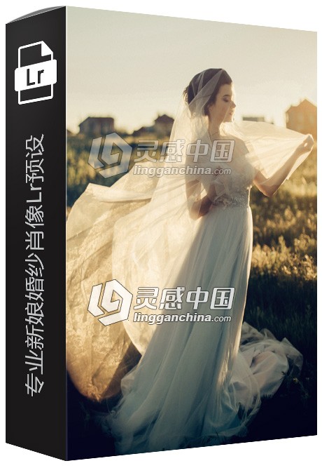 专业新娘婚纱肖像Lightroom预设 Brides Pro lightroom Presets  灵感中国网 www.lingganchina.com