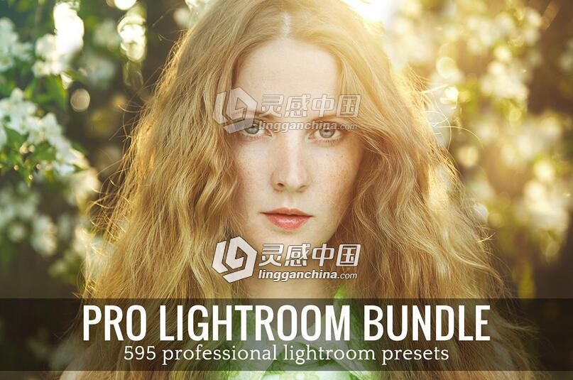 专业Lightroom预设合集 Pro Lightroom Presets Bundle  灵感中国网 www.lingganchina.com