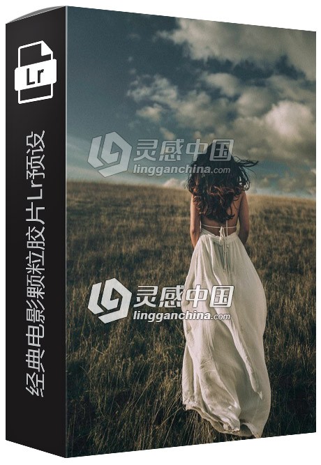 经典电影颗粒胶片Lightroom预设 Film Me Lightroom Presets  灵感中国网 www.lingganchina.com