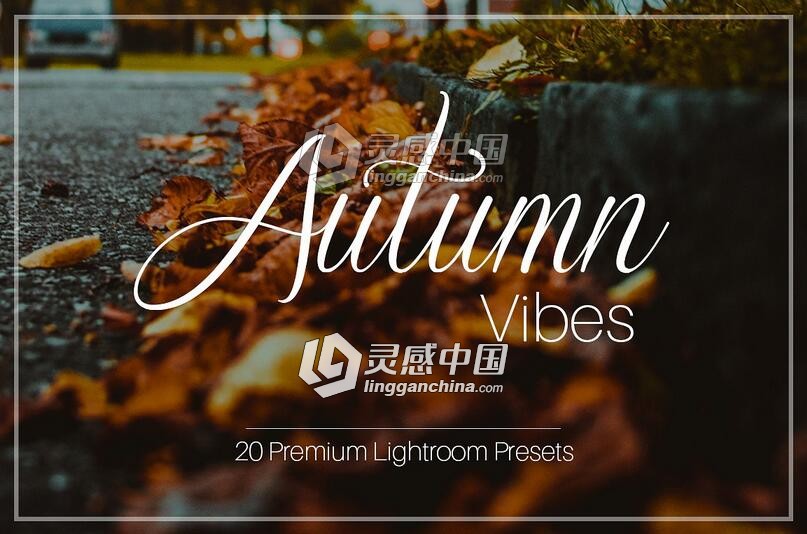 20组秋天照片增强Lightroom预设 Autumn Vibes - Lightroom Presets  灵感中国网 www.lingganchina.com