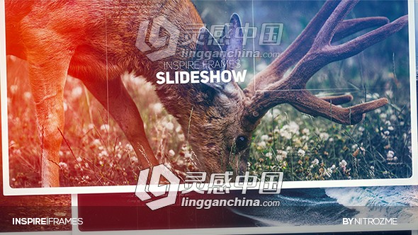 绚丽光斑优雅时尚文字照片展示幻灯片相册动画AE模板  灵感中国网 www.lingganchina.com