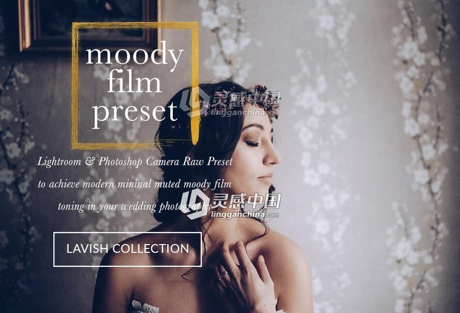 森系电影调婚礼跟拍摄影LR/ACR预设 Moody Cool Film Wedding LR/ACR  灵感中国网 www.lingganchina.com