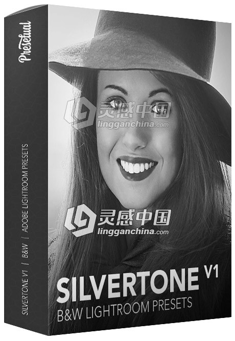 经典黑白人像Lightroom预设 Silvertone Volume 1  灵感中国网 www.lingganchina.com