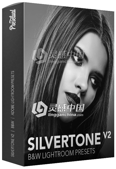 经典黑白人像Lightroom预设 Silvertone Volume 2  灵感中国网 www.lingganchina.com