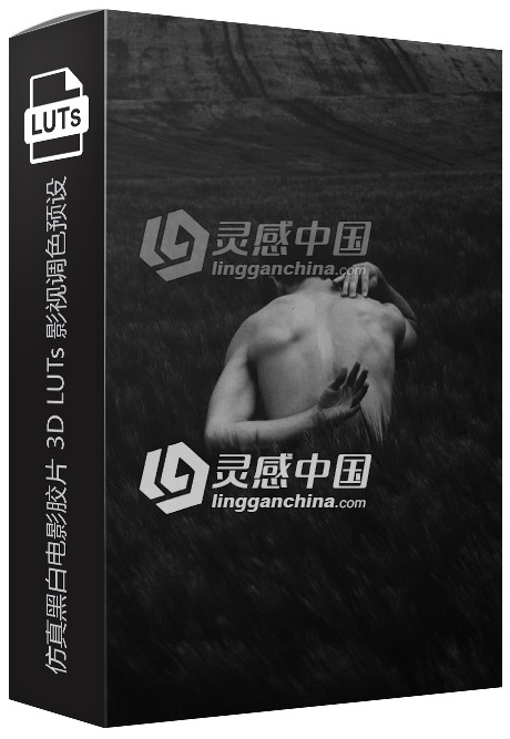 仿真黑白电影胶片 3D LUTs 影视调色LUTs预设 BLACK &amp; WHITE FILMS 3D LUTS  灵感中国网 www.lingganchina.com