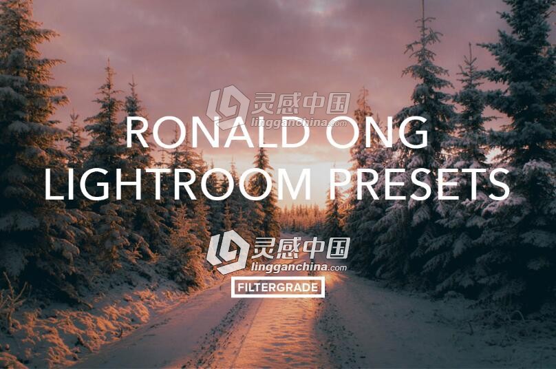 马来西亚摄影师Ronald Ong柔和温暖色调Lr预设 Ronald Ong Lightroom Presets  灵感中国网 www.lingganchina.com