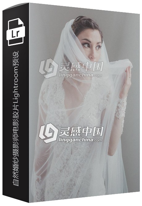 DVLOP 乔纳斯·彼得森 自然婚纱摄影师电影胶片Lightroom预设  灵感中国网 www.lingganchina.com