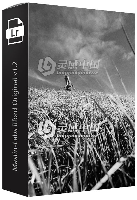 Mastin-Labs Ilford Original v1.2 依尔福黑白胶卷Lightroom预设/ACR预设  灵感中国网 www.lingganchina.com