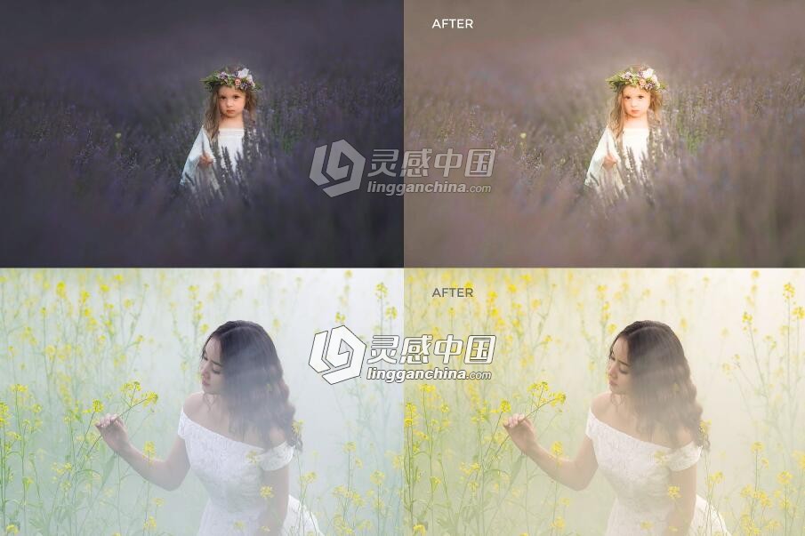 晨光暖光人像风景Lightroom预设 Warm light Lightroom preset  灵感中国网 www.lingganchina.com