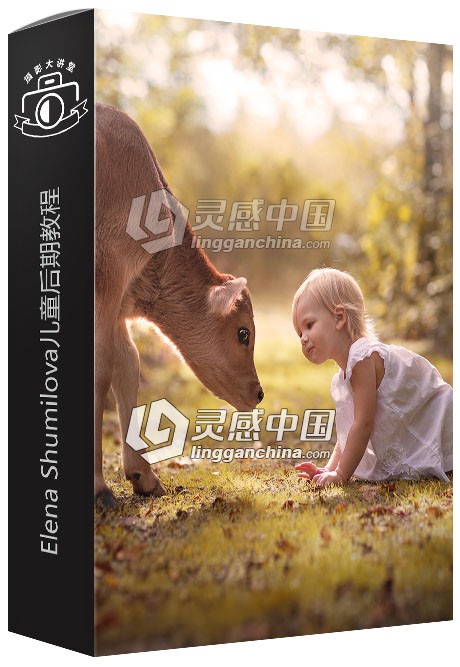 俄罗斯摄影师Elena Shumilova儿童后期视频教程 Elena Shumilova Photography  灵感中国网 www.lingganchina.com