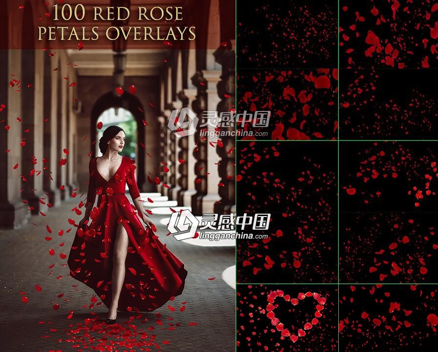 100张高清玫瑰花瓣叠加合成前景素材 100 Red Rose Petals Overlays  灵感中国网 www.lingganchina.com