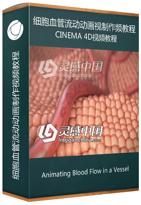 C4D细胞血管流动动画制作视频教程 Animating Blood Flow in a Vessel  灵感中国网 www.lingganchina.com