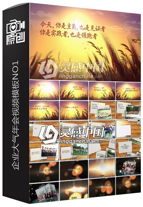 企业大气年会回顾公司成长历程视频AE模板 NO1  灵感中国网 www.lingganchina.com