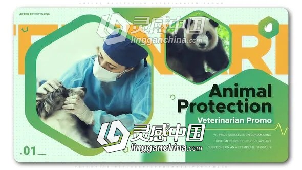 时尚图形宠物医院医疗图文展示包装片头AE模板  灵感中国网 www.lingganchina.com