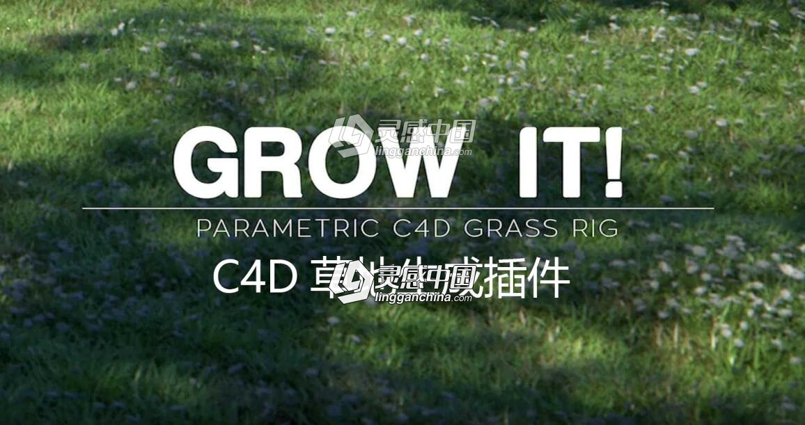 C4D草地生成插件 Grow It! For Cinema 4D Darstellungsart  灵感中国网 www.lingganchina.com