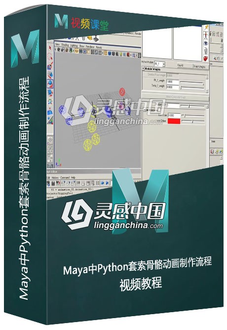 Maya中Python套索骨骼动画制作流程视频教程  灵感中国网 www.lingganchina.com