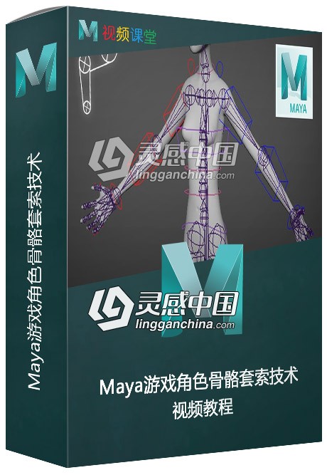 Maya游戏角色骨骼套索技术视频教程  灵感中国网 www.lingganchina.com