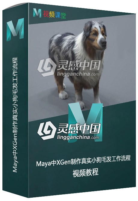 Maya中XGen制作真实小狗毛发工作流程视频教程  灵感中国网 www.lingganchina.com