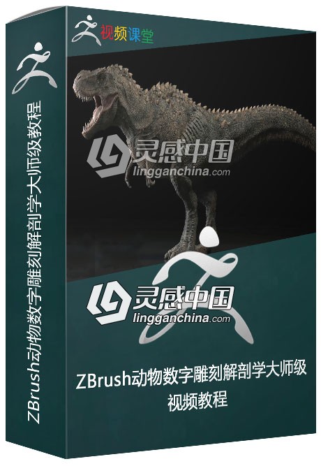 ZBrush动物数字雕刻解剖学大师级视频教程  灵感中国网 www.lingganchina.com