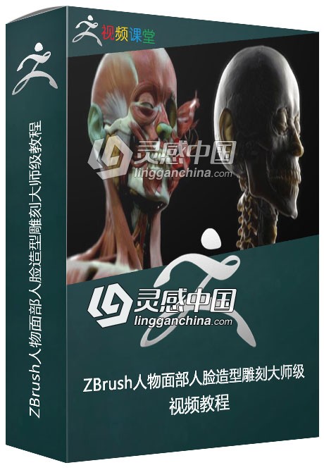 ZBrush人物面部人脸造型雕刻大师级视频教程  灵感中国网 www.lingganchina.com