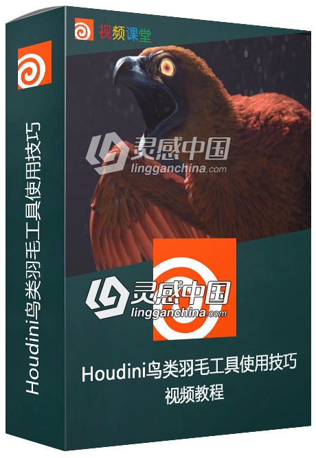 Houdini鸟类羽毛工具使用技巧视频教程  灵感中国网 www.lingganchina.com