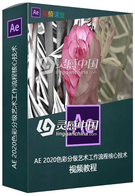 AE 2020色彩分级艺术工作流程核心技术视频教程  灵感中国网 www.lingganchina.com