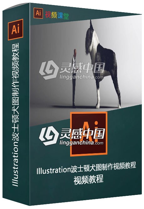 Illustration波士顿犬图制作视频教程  灵感中国网 www.lingganchina.com