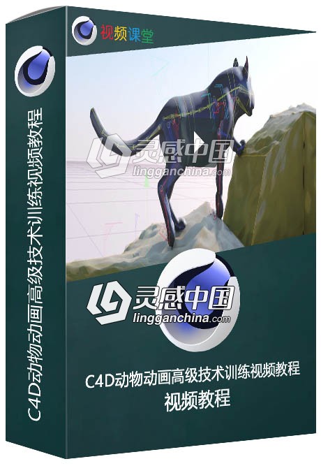 C4D动物动画高级技术训练视频教程  灵感中国网 www.lingganchina.com