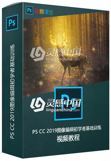 PS CC 2019图像编辑初学者基础训练视频教程  灵感中国网 www.lingganchina.com