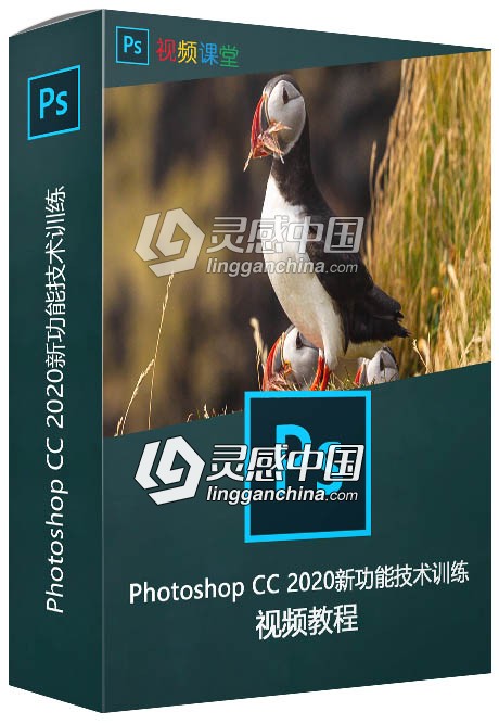 Photoshop CC 2020新功能技术训练视频教程  灵感中国网 www.lingganchina.com