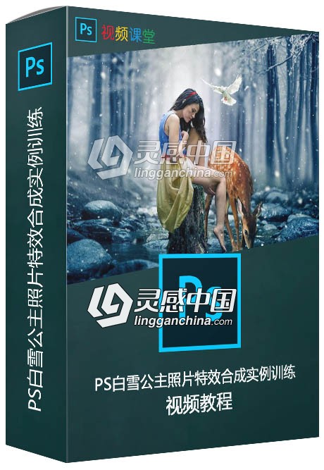 PS白雪公主照片特效合成实例训练视频教程  灵感中国网 www.lingganchina.com