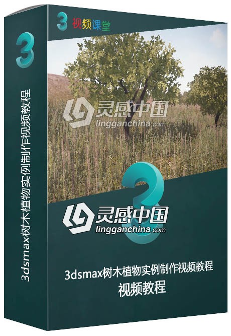 3dsmax树木植物实例制作视频教程  灵感中国网 www.lingganchina.com