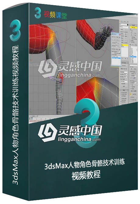 3dsMax人物角色骨骼技术训练视频教程  灵感中国网 www.lingganchina.com