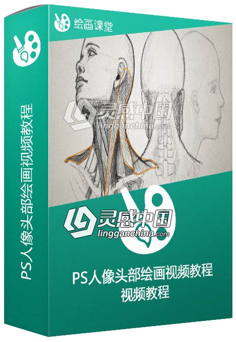 Photoshop人像头部绘画视频教程 Drawing A Human Head  灵感中国网 www.lingganchina.com