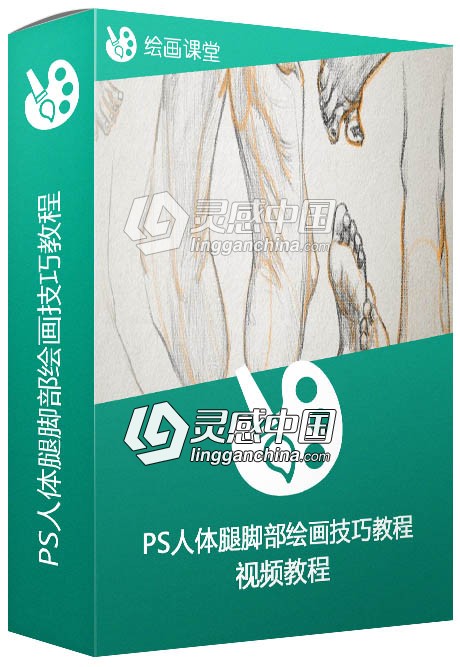 Photoshop人体腿脚部绘画技巧视频教程 Drawing the Lower Bod  灵感中国网 www.lingganchina.com