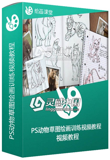 PS动物草图绘画训练视频教程Sketching Appealing Animals in Photoshop  灵感中国网 www.lingganchina.com