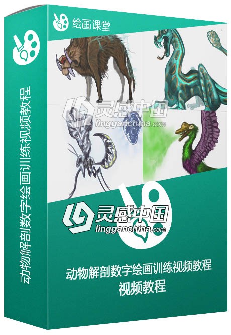 动物解剖数字绘画训练视频教程Premium Mastering Animal Anatomy  灵感中国网 www.lingganchina.com