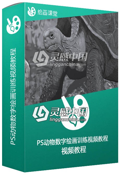 PS动物数字绘画训练视频教程 Fundamentals of Digital Drawing  灵感中国网 www.lingganchina.com