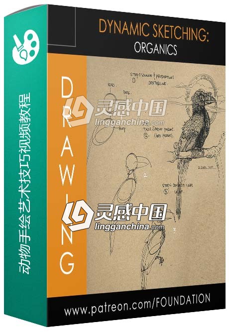 动物手绘艺术技巧视频教程Foundation Patreon Term 10 Dynamic Sketching Organics  灵感中国网 www.lingganchina.com