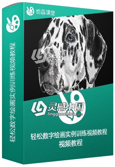 轻松数字绘画实例训练视频教程  灵感中国网 www.lingganchina.com