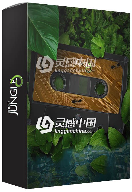 Audio Jungle超级音效配乐库精选影视片头AE模板音乐第71辑  灵感中国网 www.lingganchina.com