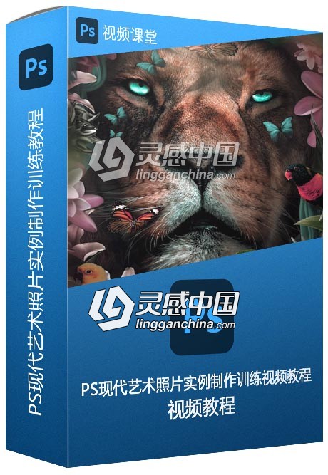 PS现代艺术照片实例制作训练视频教程  灵感中国网 www.lingganchina.com