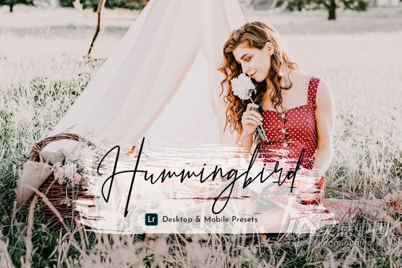 动感情绪童话色彩人像Lightroom预设/APP预设 HummingBird Lightroom Presets Pack  灵感中国网 www.lingganchina.com